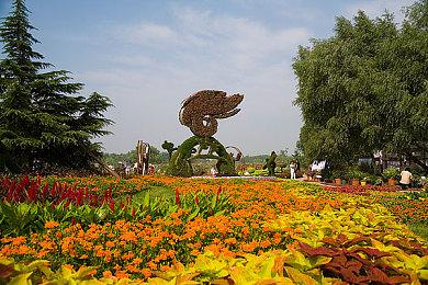 《勇敢的心：回家》2023年初登陆Netflix会员